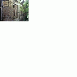 Sloth (USA-2) : 6-2-14